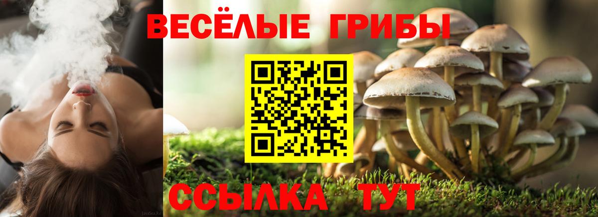 Орск  Галлюциногенные грибы Psilocybe  Вход с VPN  купить   Псилоцибиновые грибы мицелий 